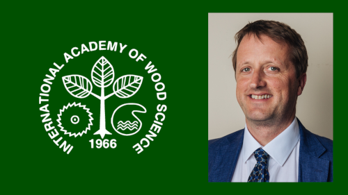 Stephen Eichhorn photograph with International Academy of Wood Science logo
